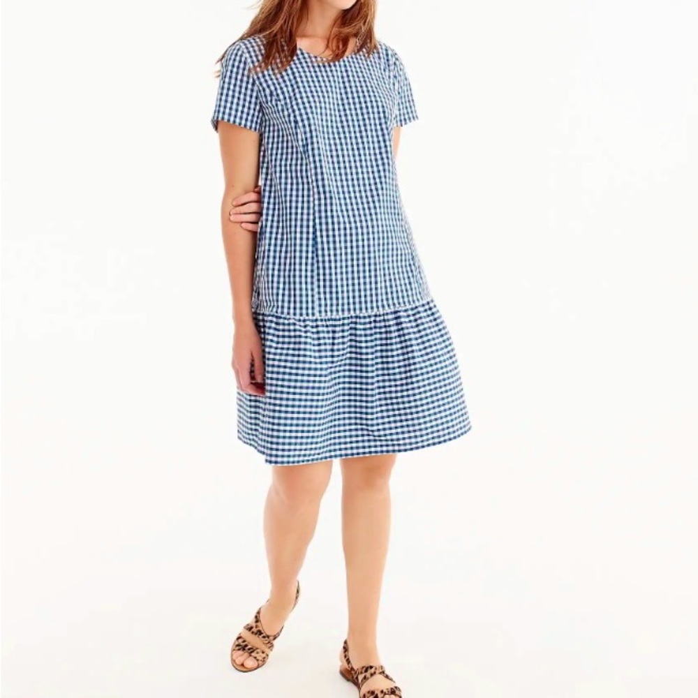 J. Crew Universal Thread Gingham Poplin Dress - image 1
